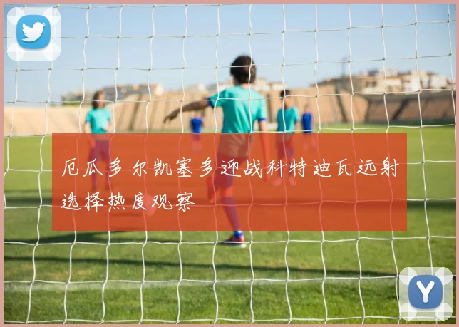 厄瓜多尔凯塞多迎战科特迪瓦远射选择热度观察