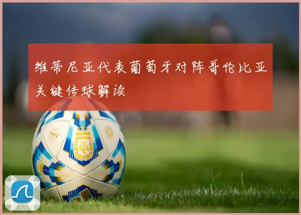 维蒂尼亚代表葡萄牙对阵哥伦比亚关键传球解读