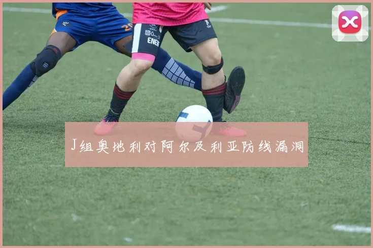 J组奥地利对阿尔及利亚防线漏洞