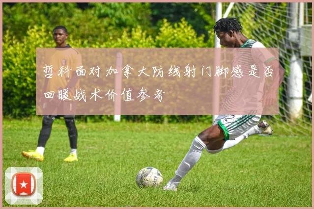 哲科面对加拿大防线射门脚感是否回暖战术价值参考